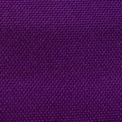 Rainy Plum